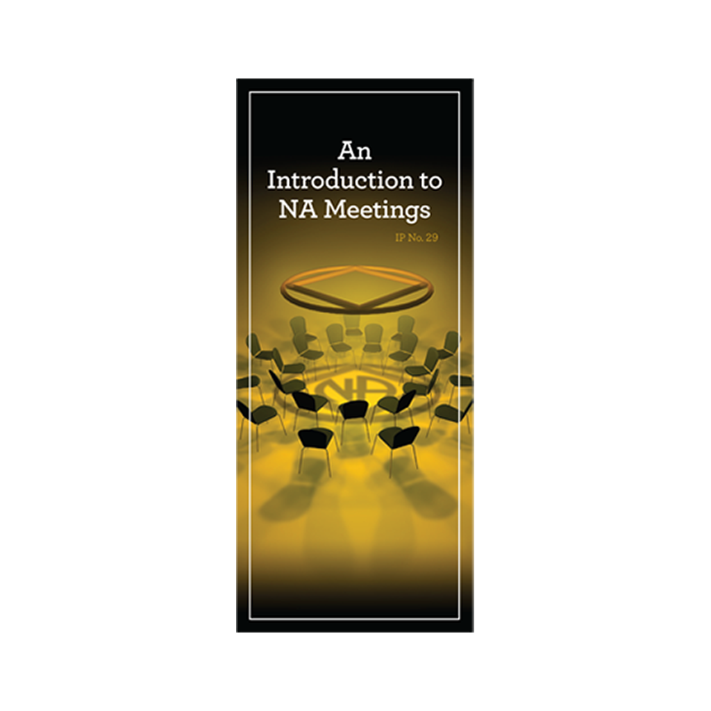 29-intro-2-na-meetings